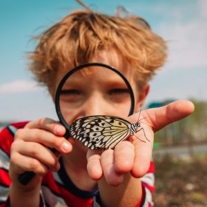 niño mira una mariposa en su mano a través de una lupa