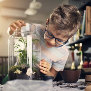 niño crea un jardin dentro de un recipiente de cristal