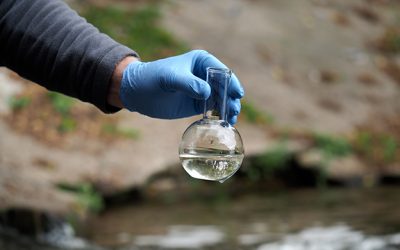 Educación ambiental: los desafios en nuestra salud