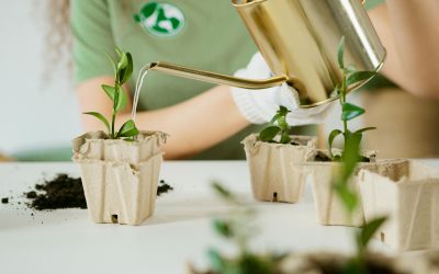 La primavera: tiempo de renovación y activitades en familia