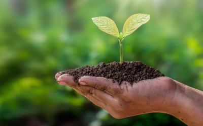 ¡Es tiempo de disfrutar de la naturaleza!